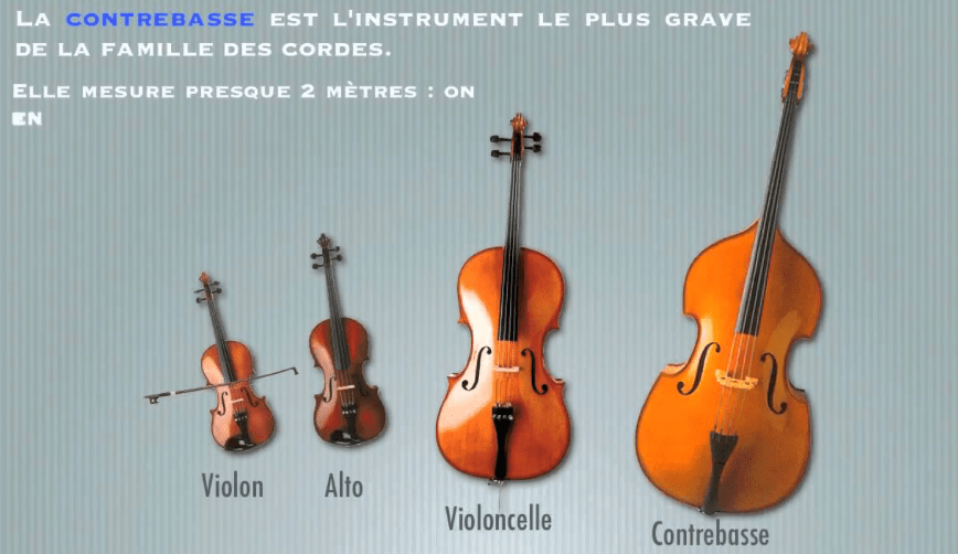 6è, SEQUENCE 1 &laquo;&nbsp;Les palettes sonores&nbsp;&raquo;, Séance 2, les&nbsp;cordes