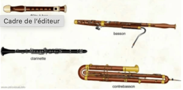 SEQ 1 : Les palettes sonores, Les bois, Séance&nbsp;4